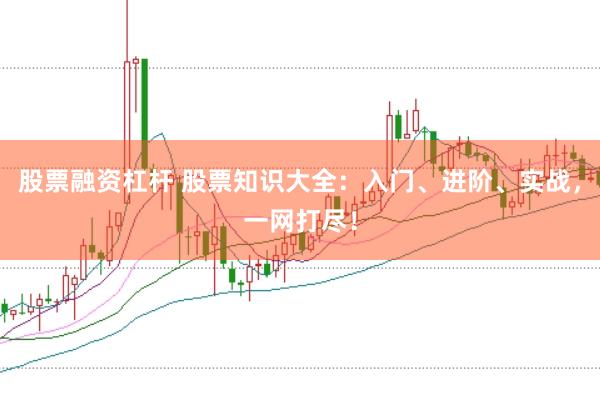 股票融資杠桿 股票知識(shí)大全：入門、進(jìn)階、實(shí)戰(zhàn)，一網(wǎng)打盡！
